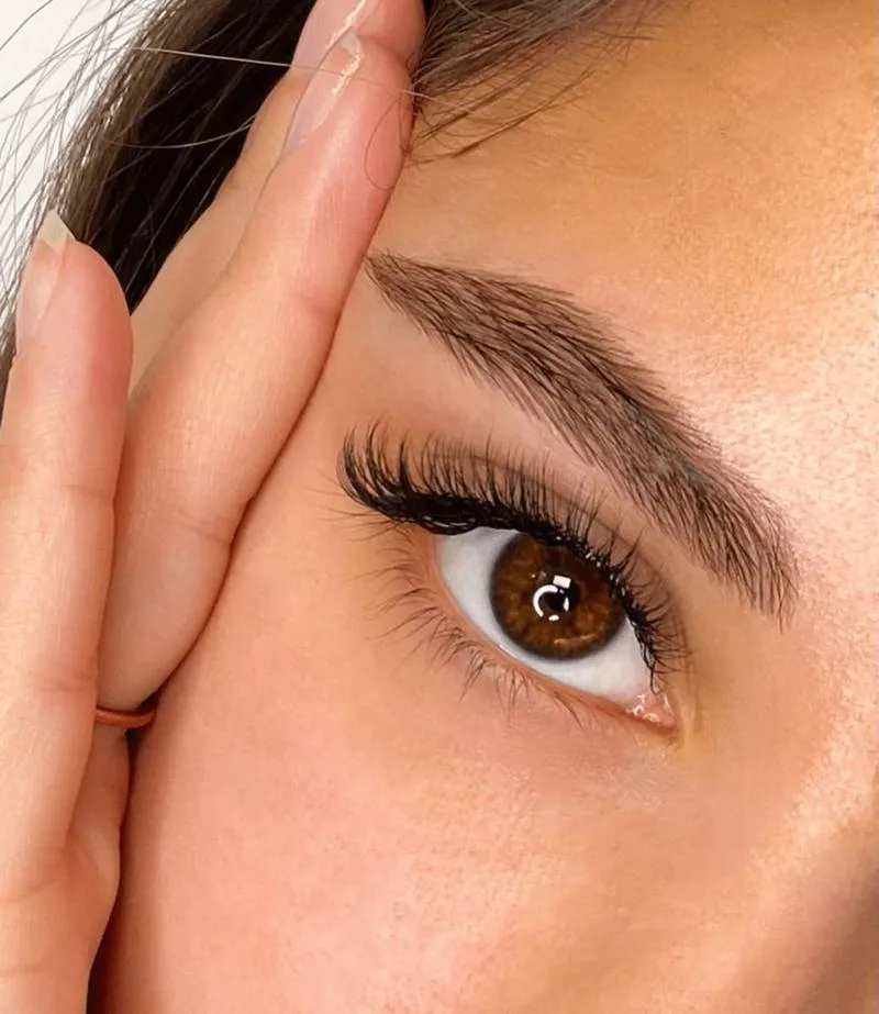 Lashes & Brows
